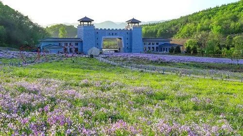 喜報(bào)！鳳城市大梨樹村再獲四項(xiàng)“國字號”榮譽(yù)