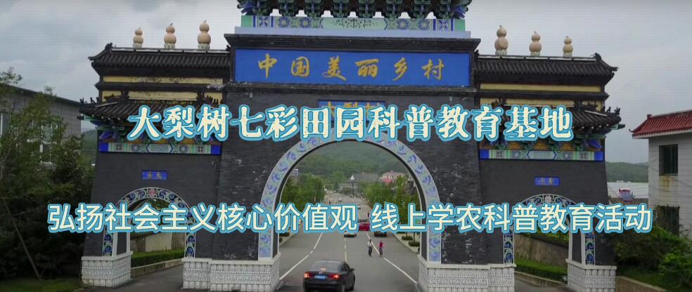 大梨樹(shù)七彩田園科普教育基地︱弘揚(yáng)社會(huì)主義核心價(jià)值觀開(kāi)展線上學(xué)農(nóng)科普教育活動(dòng)